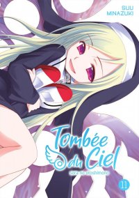 Tomb�e du ciel T.11