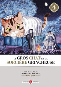 Le gros chat et la sorci�re grincheuse T.4