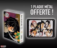 Demon slayer - �dition Pilier T.1