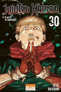 Jujutsu Kaisen T.30