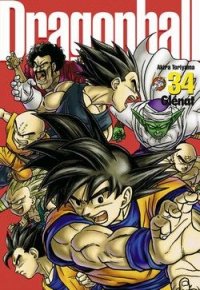 Dragon Ball - Perfect édition T.34