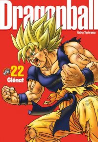 Dragon Ball - Perfect édition T.22