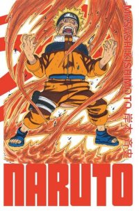 Naruto - dition Hokage T.13