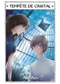 Temp�te de cristal T.3