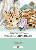 Le gros chat et la sorci�re grincheuse T.1