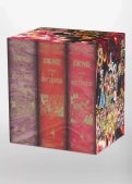 One Piece - Coffret vide Dressrosa