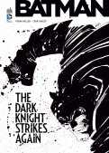 Batman - The dark knight strikes again