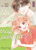 Un petit ami trop parfait T.12 Un petit ami trop parfait T.12