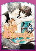 Junjô romantica T.14 Junjô romantica T.14