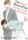 The night beyond the tricornered window T.6 The night beyond the tricornered window T.6