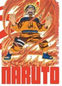 Naruto - édition Hokage T.13